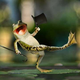 Image for article titled Herpetologists Discover Species Of Frogs That Evolved To Spontaneously Grow Top Hat And Cane